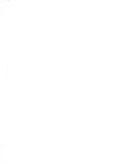 Page 3 of Shoukoujo 2