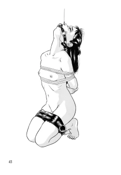 Page 44 of Shoukoujo 2