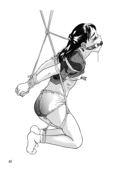 Page 46 of Shoukoujo 2