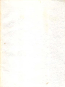 Page 44 of Vermilion 3