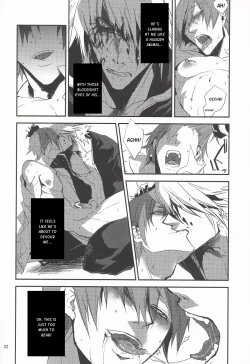 Page 21 of Kyoukenbyou