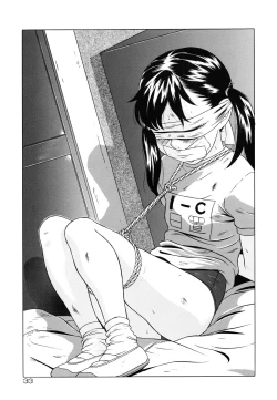 Page 34 of Shoukoujo 3