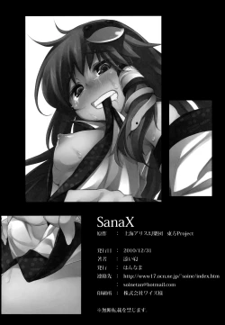 Page 17 of SaNaX