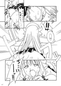 Page 46 of Kenko Daiichi