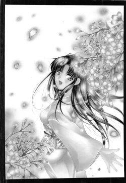 Page 221 of Sakura Sakura