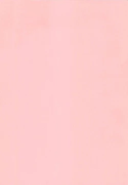 Page 215 of Nami SOS! Naoko Black Bird