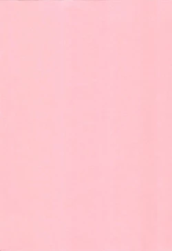 Page 4 of Nami SOS! Naoko Black Bird