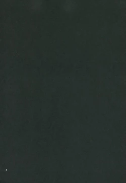 Page 3 of Nuno no Mukou no Magicant