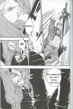 Page 17 of (C69) [GD Mechano (Izumi Yakumo)] ~La Vita E Rosa~ (Devil May Cry 3) [English]
