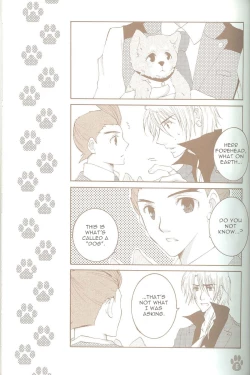 Page 4 of Dog