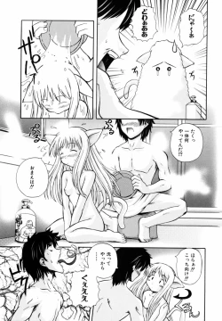 Page 17 of PARA★ISO