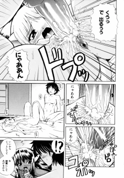 Page 45 of PARA★ISO