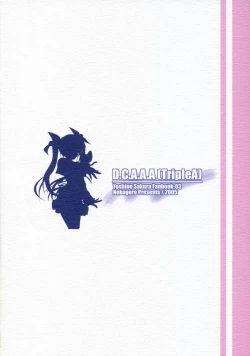 Page 14 of D.C.A.A.A