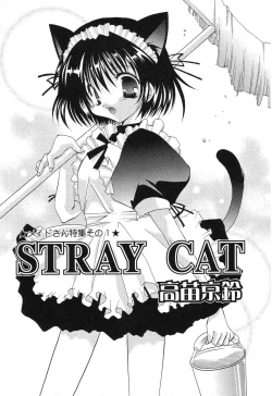 Page 62 of Pure Petit Vol.10