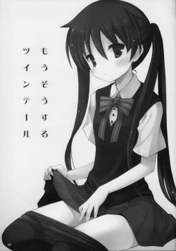 Page 4 of Mousou Shitari Tsuibi Shitari Suru Twintail