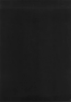 Page 307 of Caster Ayako Kanzenban