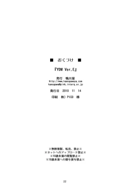 Page 21 of YDM Ver.E