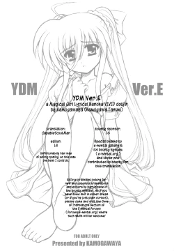 Page 22 of YDM Ver.E