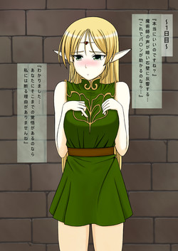 Download Record of Lodoss WarCum on the blonde elf