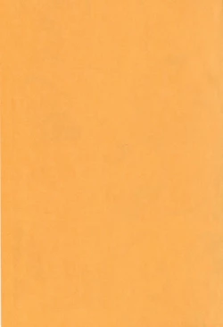 Page 3 of Juujunyoukan wa Iranai Ko Nanka ja Naindesu