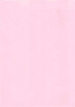 Page 4 of Kassen Soubatsu