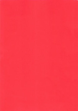 Page 5 of Nikutai Kankei