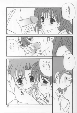 Page 12 of LITTLE FRAGRANCE PREMIUM