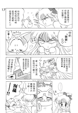 Page 17 of Submission Venus