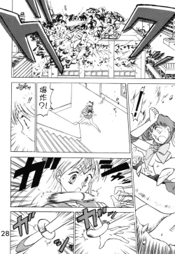 Page 28 of Submission Venus