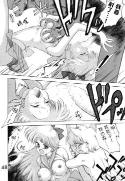 Page 48 of Submission Venus