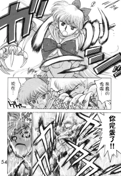 Page 54 of Submission Venus