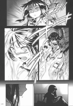 Page 13 of Ibitsu na Iremono