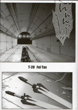 Page 4 of T-20 Fei Tas