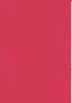 Page 2 of Simple Nise Shirizu The Oane Champion