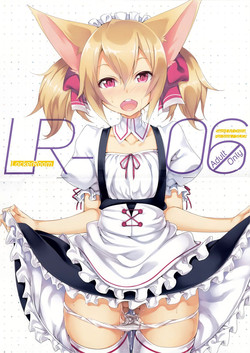 Download LR-06