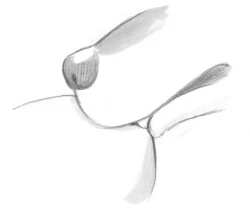 Page 45 of Holy&Beast