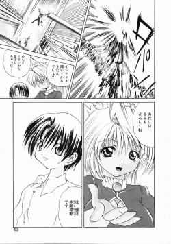 Page 41 of Dendoushiki Tsukimizake