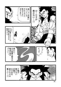 Page 39 of Dragon Ball AF Vol. 12