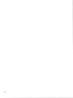 Page 21 of Ore no Shinyuu no Musume ga Konna ni Kawaii Wake ga Nai