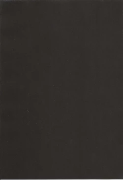 Page 3 of Yoake no Ban ni