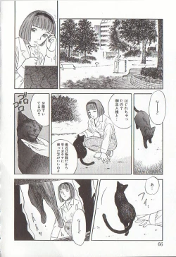 Page 66 of Sakurairo no Shouzou Night Gallery I