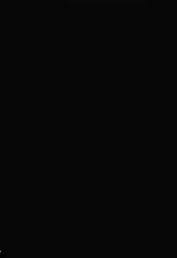 Page 4 of Watashi wa Inu Dewa Arimasen