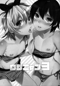 Page 2 of Usa Nyan 3