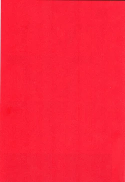 Page 2 of FEELING HIGH AND SATISFIED