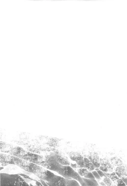 Page 13 of 鮫～VIRGIN BITE