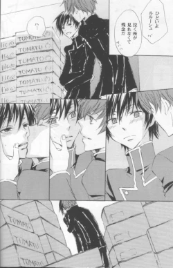 Page 13 of NO SIGNAL