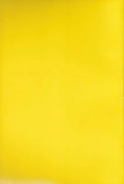 Page 31 of beautiful boyfriend