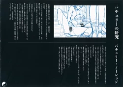 Page 3 of Gensoukyou Inkou Kirokushuu