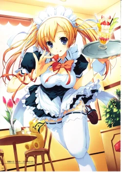 Page 14 of Tomose Shunsaku Jisen Illust Shuu