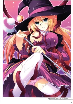 Page 17 of Tomose Shunsaku Jisen Illust Shuu